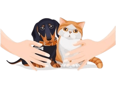 Job vacancies for pet professionals in Bangalore