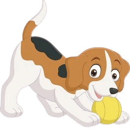 Trained and happy dog