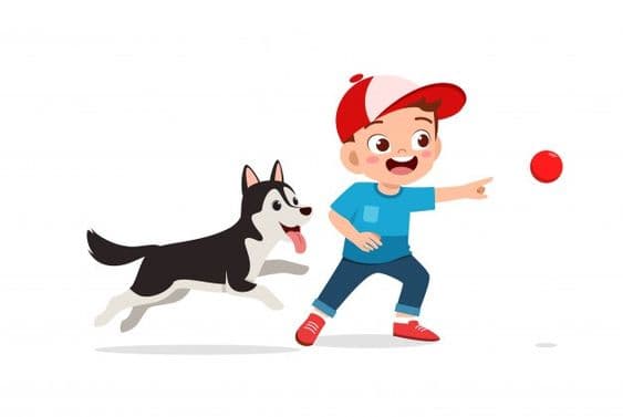 Dog playing fetch with parent
