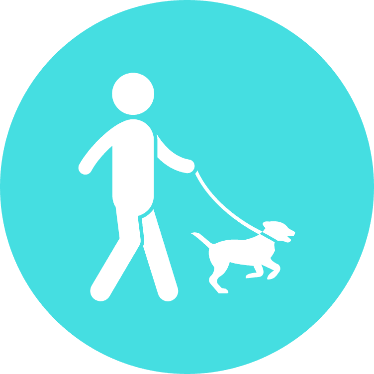 Dog leash walking