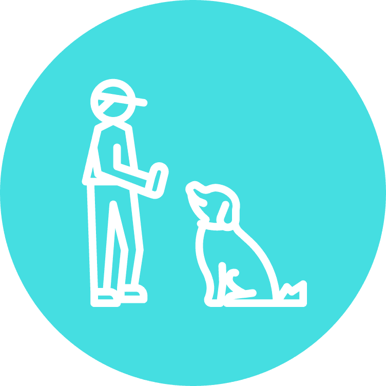 Pet obedience training