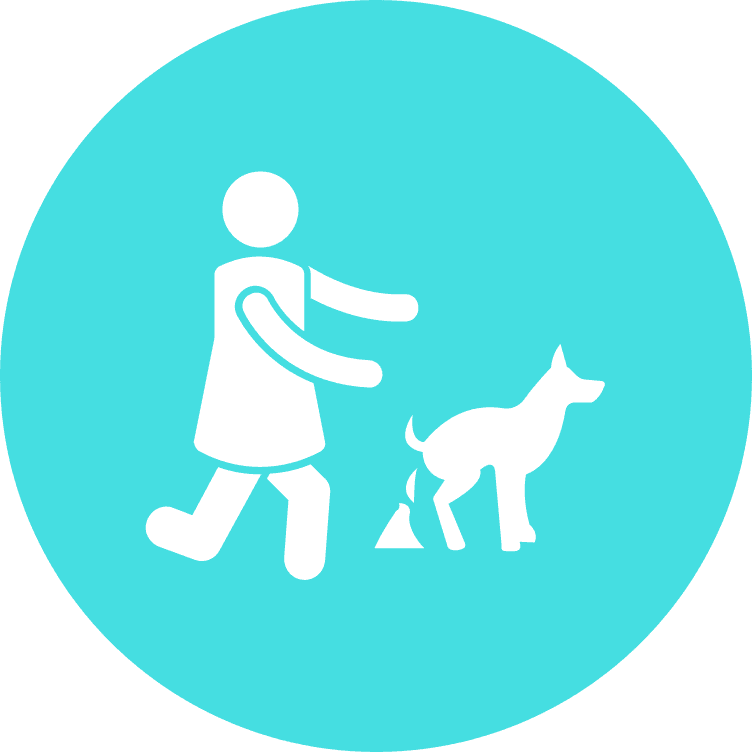Pee and poop training - puppy training