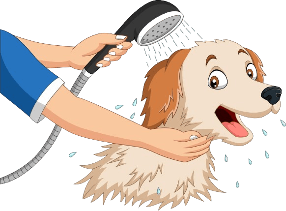 Pet grooming service near me in Bengaluru