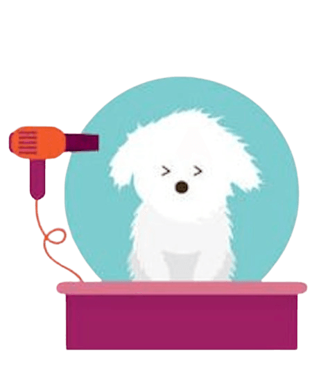Pet dog hair dryer