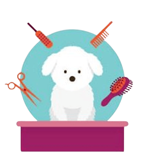 Brushing, Combing, Deshedding, etc