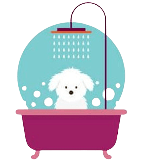 Pet dog shower and bath