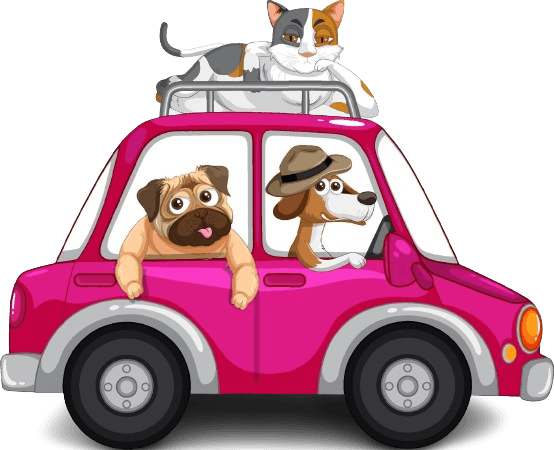 Book a pet relocation service near me