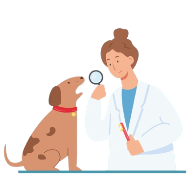 Vet Home Visit