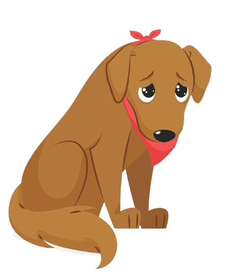 Book a vet service near me