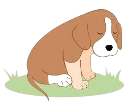 Book a vet service near me