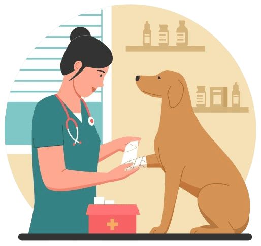 Vet doctor doing general health checkup of pet dog