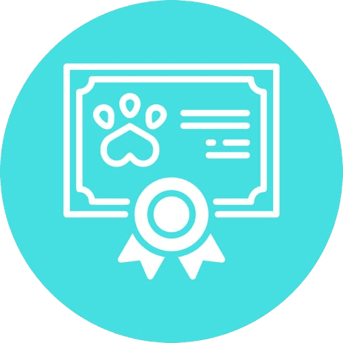 Health travel certificate