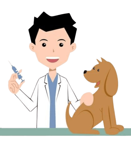 Vet doctor doing general health checkup of pet dog