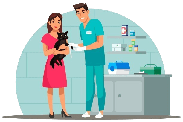 Veterinarian doctor examining cat injured paw