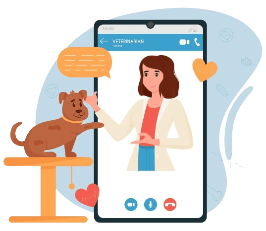 Book a vet service near me